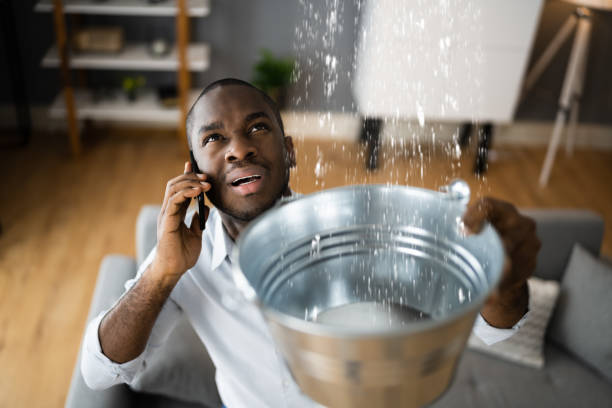 Local water damage restoration in Hernando, MS