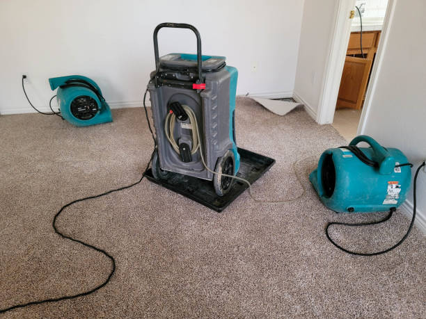 Best Water damage restoration near me  in Hernando, MS