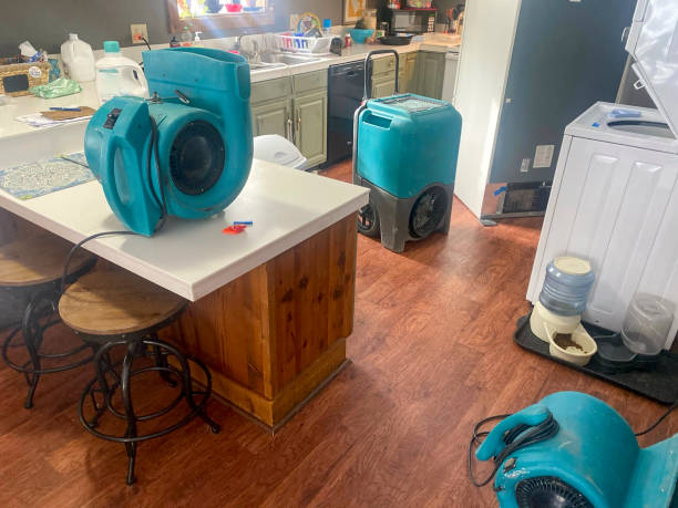 Best Emergency water damage restoration  in Hernando, MS