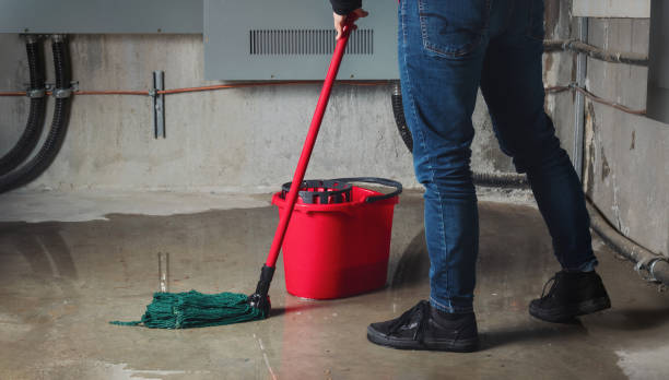 Best Water damage contractors near me  in Hernando, MS