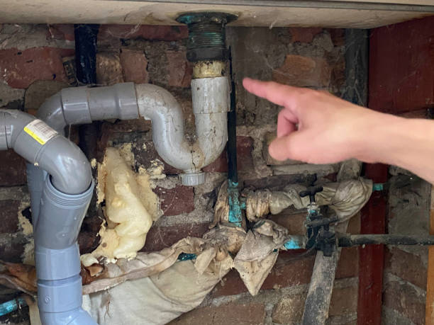 Best Water damage restoration process  in Hernando, MS