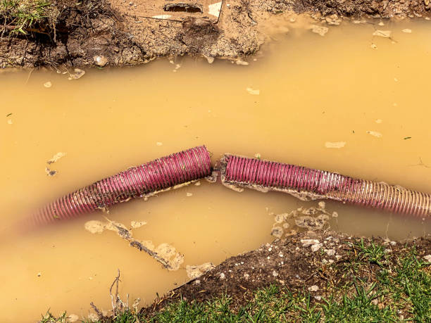 Best Water damage restoration specialists  in Hernando, MS
