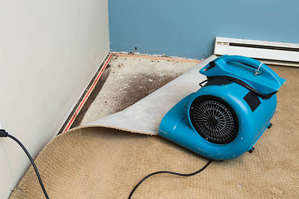 Best 24/7 water damage repair  in Hernando, MS
