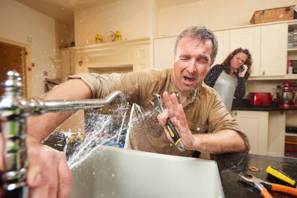 Best Flooded house restoration  in Hernando, MS